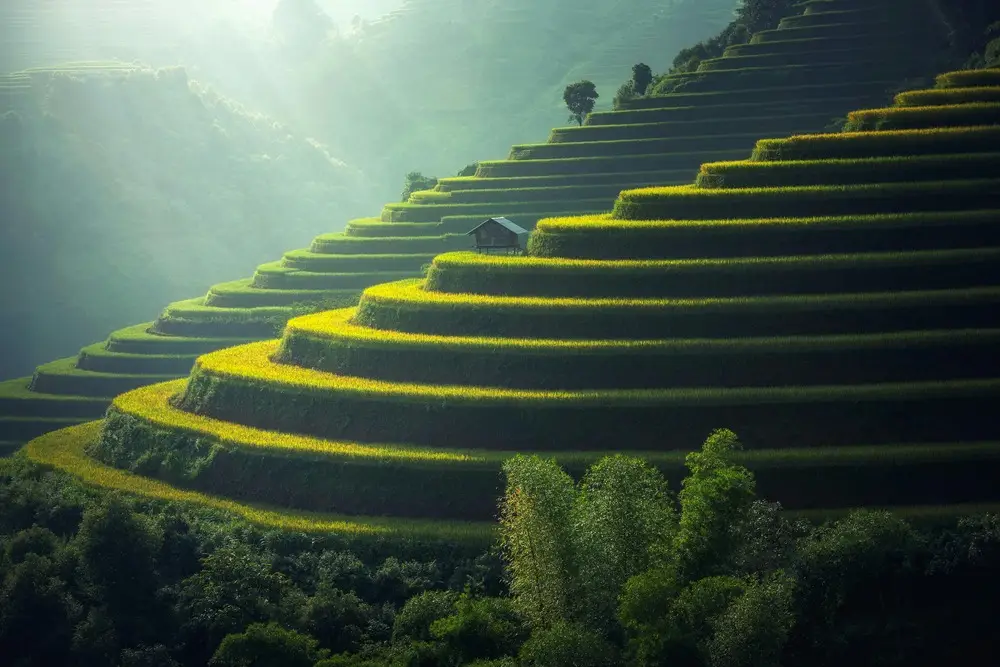 Shipping Household Goods from Bali to Russia