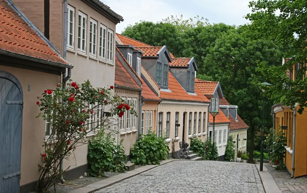 Shipping Household Goods from Denmark to Russia